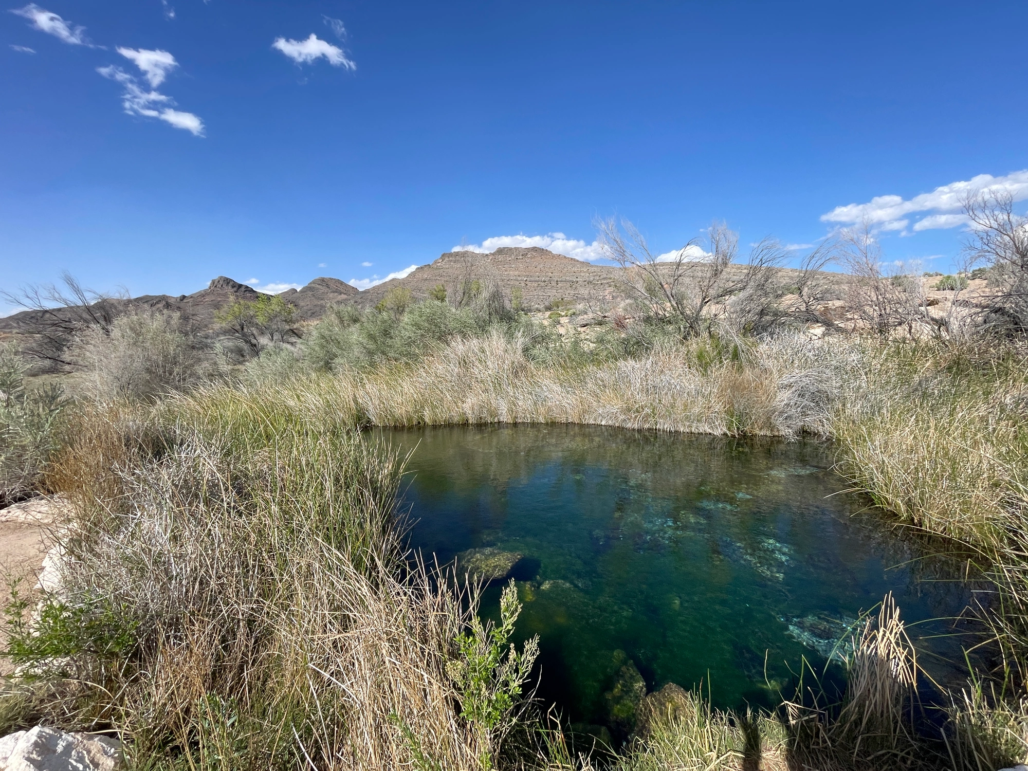 Ash Meadows National Wildlife Refuge photo