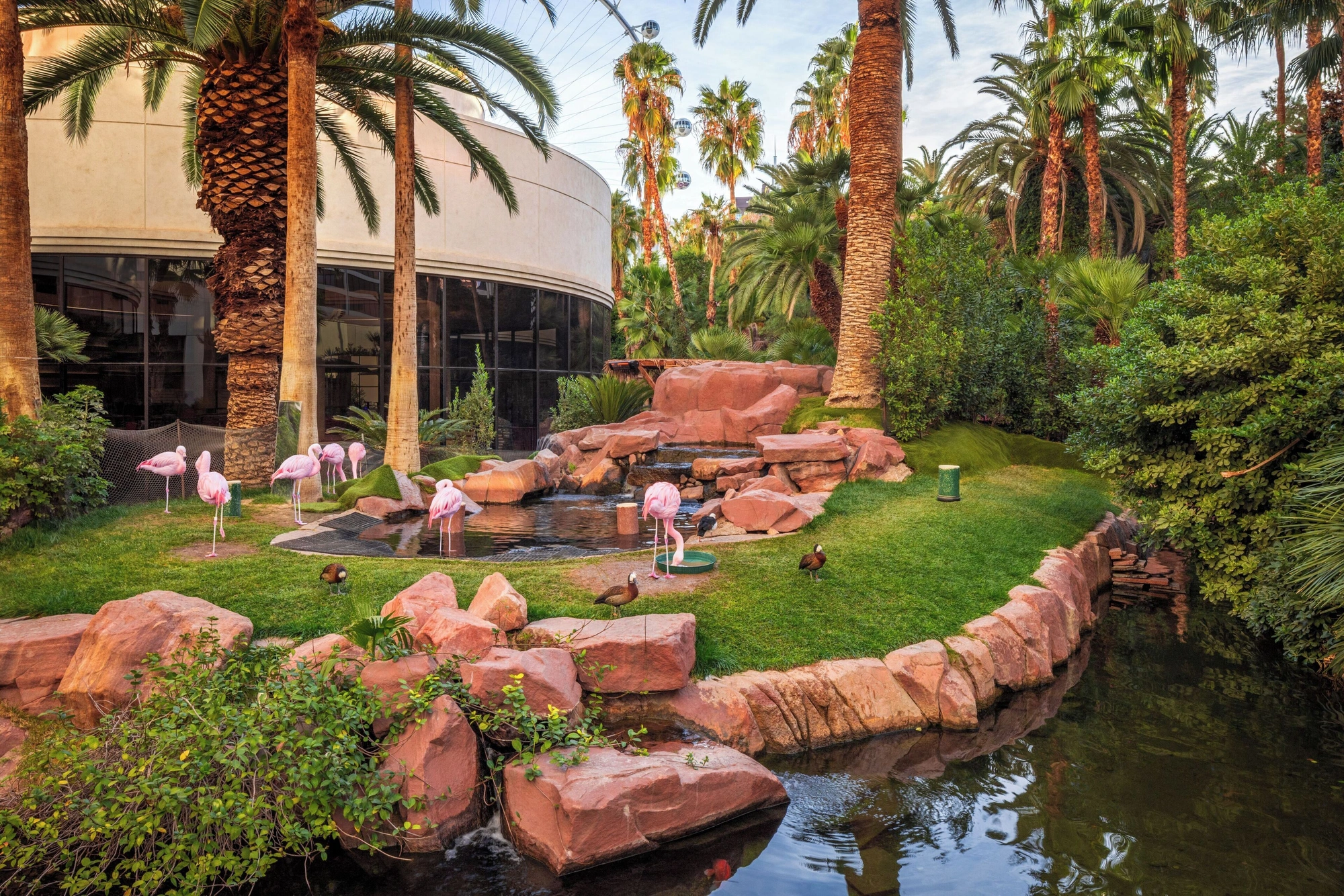 Wildlife Habitat at the Flamingo