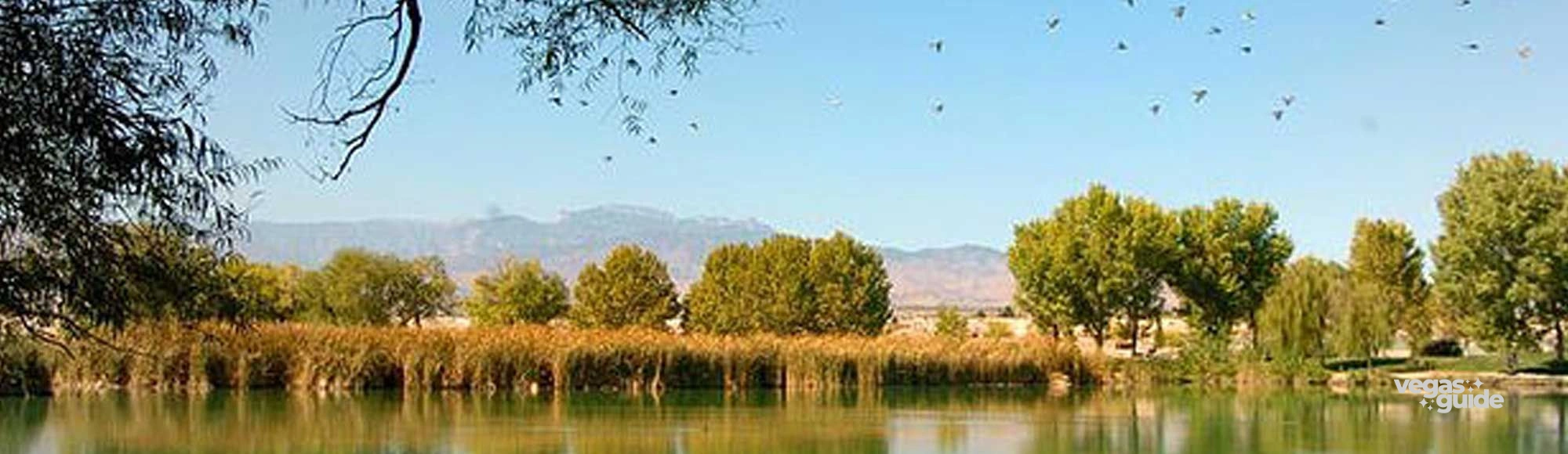 Floyd Lamb Park at Tule Springs photo