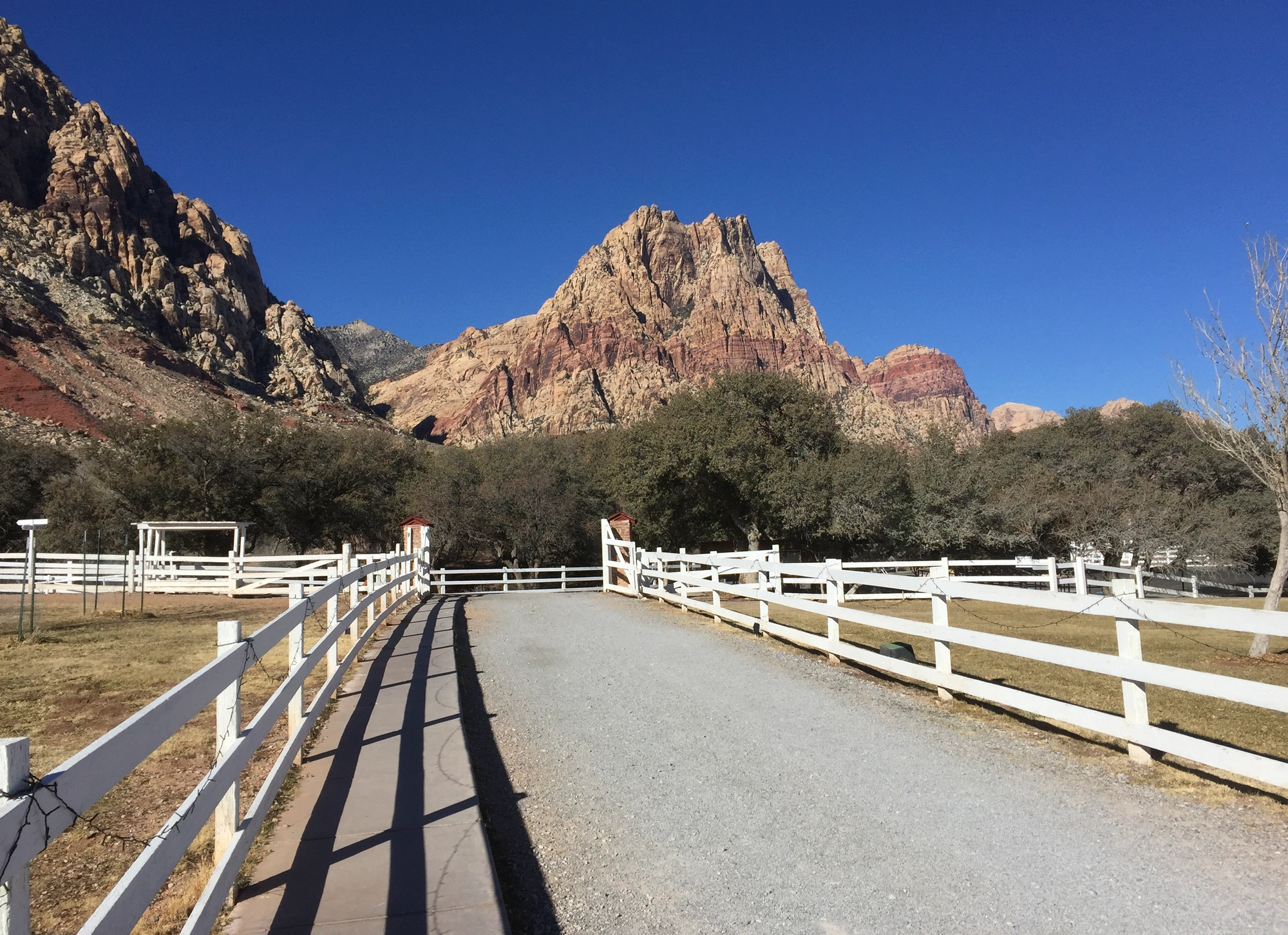 Spring Mountain Ranch State Park photo