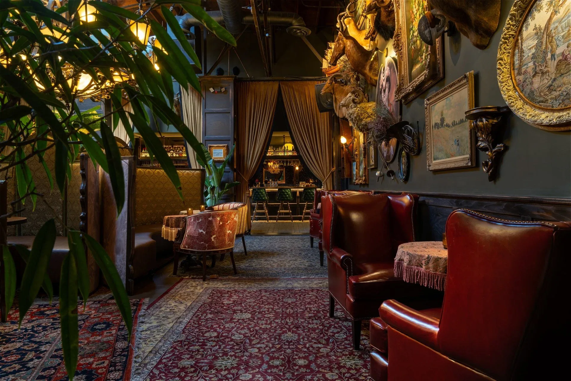 The Doberman Drawing Room