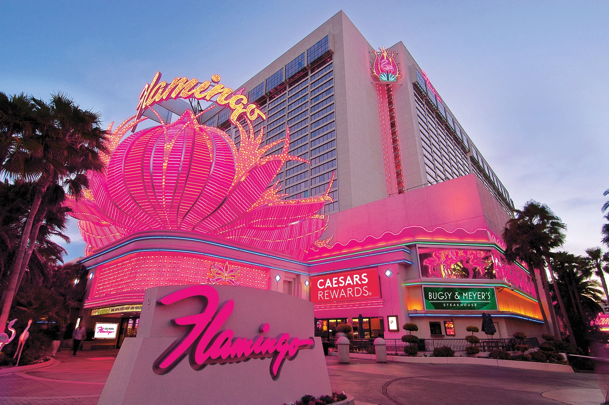 Flamingo