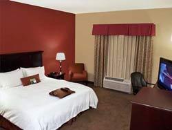 1 King Bed - Non-Smoking, Mobility Accessible