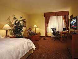 1 King Bed - Mobility Accessible