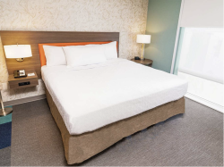 One-Bedroom King Suite