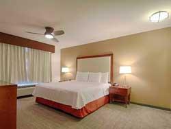 1 King Studio Suite With Sofabed & Roll-In Shower - Mobility / Hearing Accessible, Non-Smoking