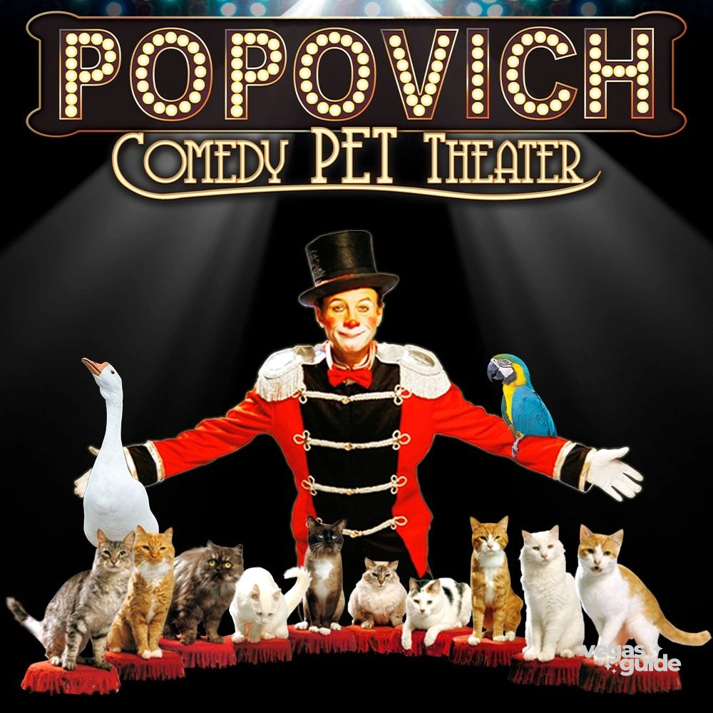Popovich Comedy Pet Theater poster