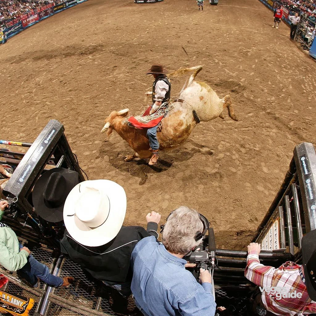 PBR Team Series Championship