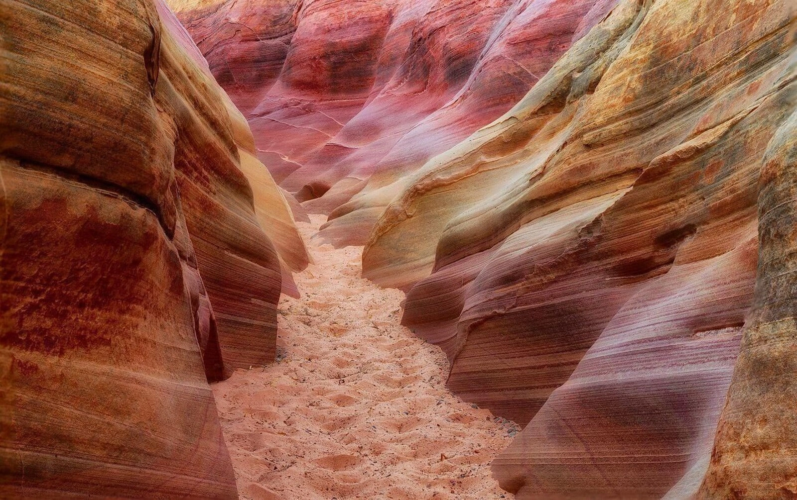 A Day at Valley of Fire