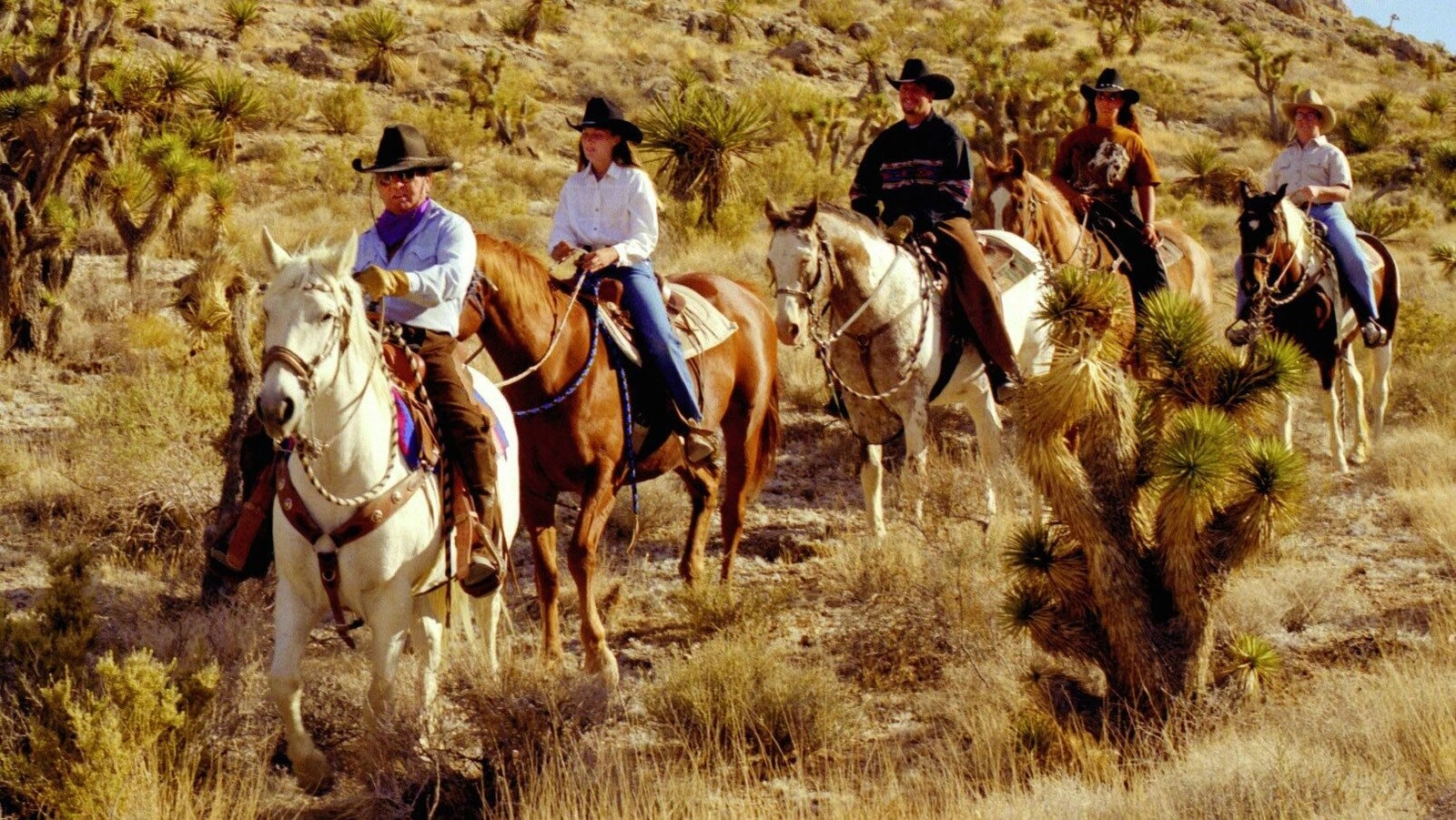 Wild West Horseback Adventures photo