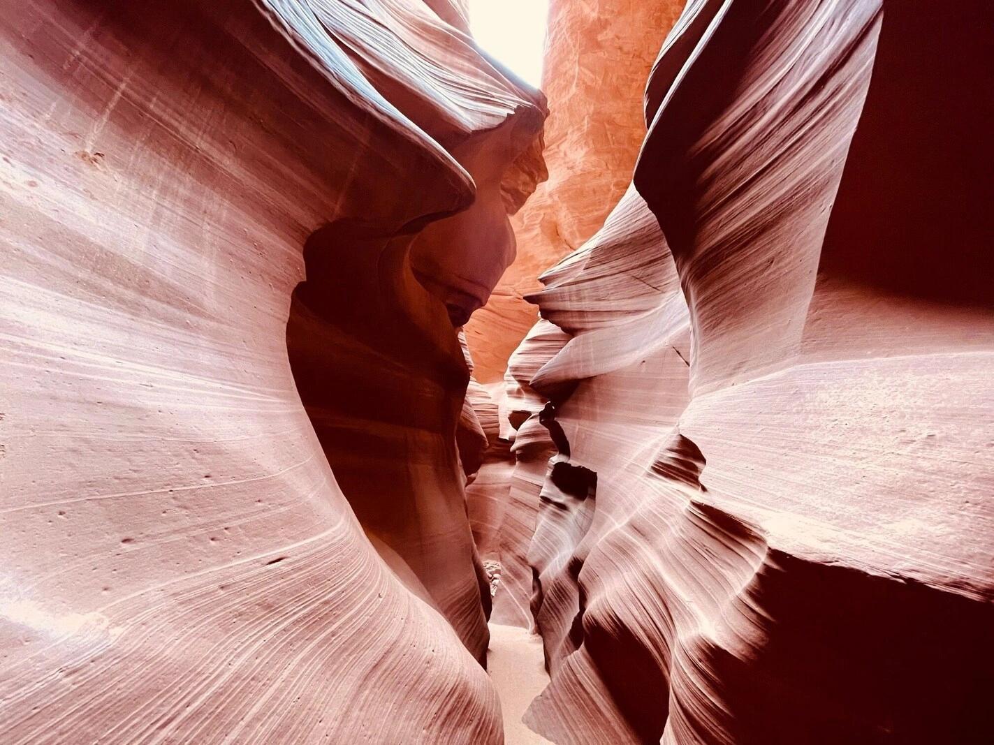 Antelope Canyon & Horseshoe Bend Day Tour from Las Vegas