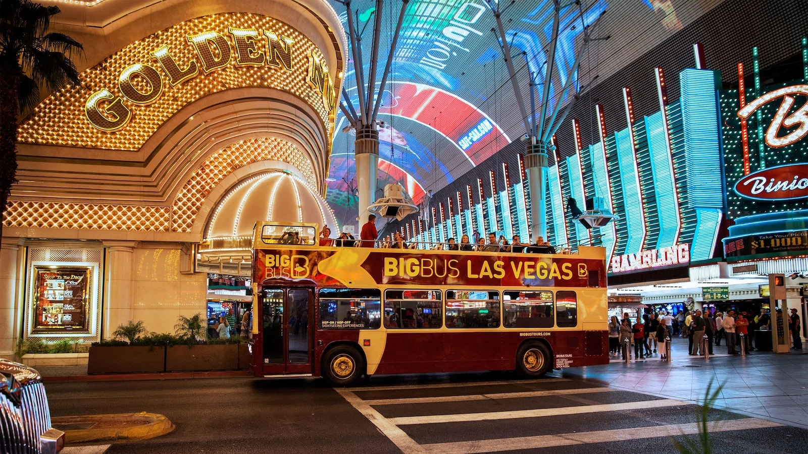 Big Bus Night Tour photo