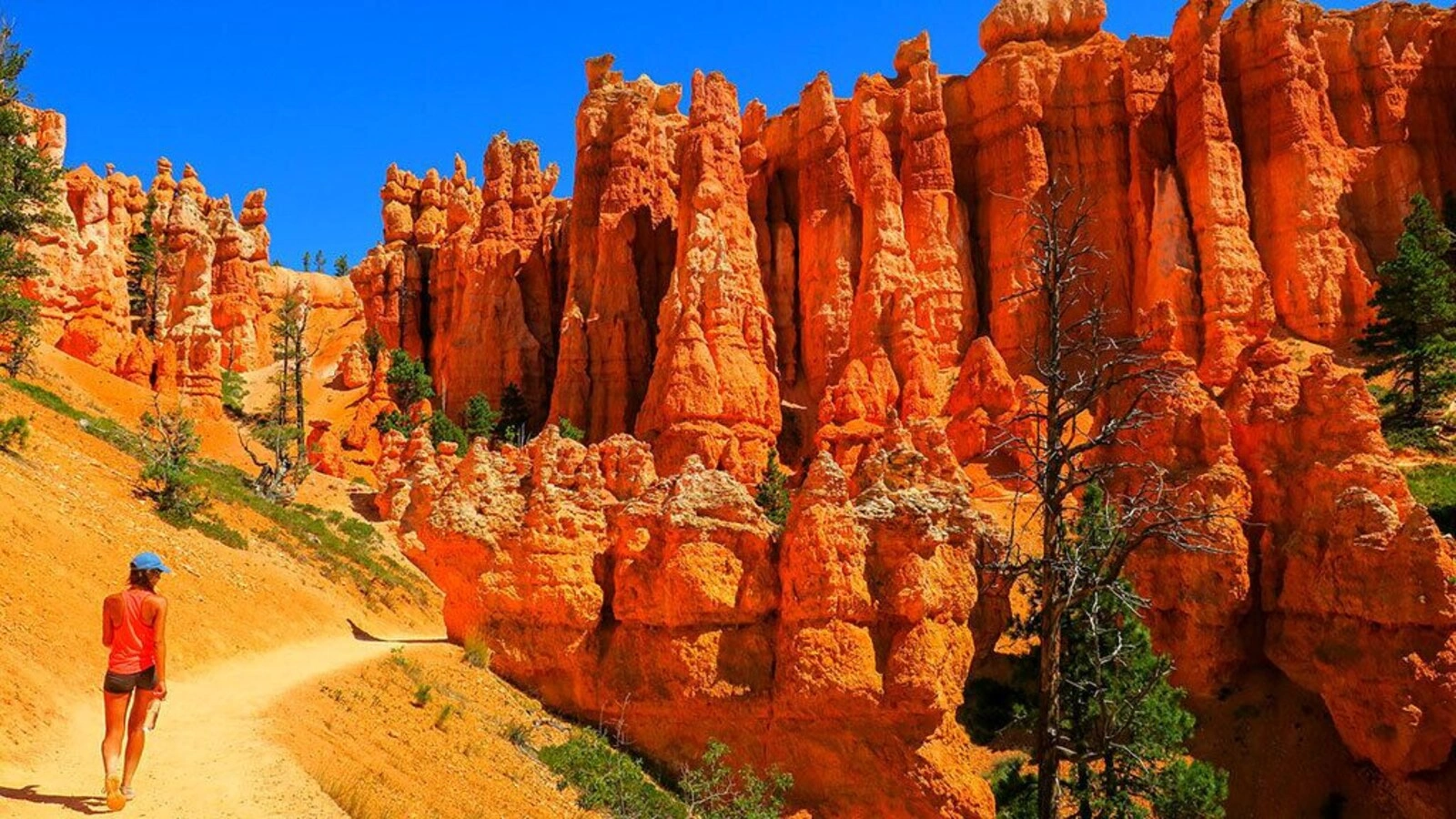 Bryce Canyon & Zion National Park photo