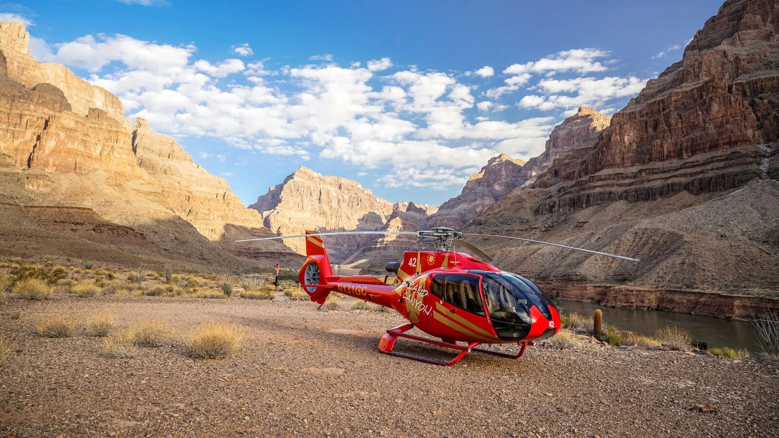 Grand Celebration Picnic Landing photo