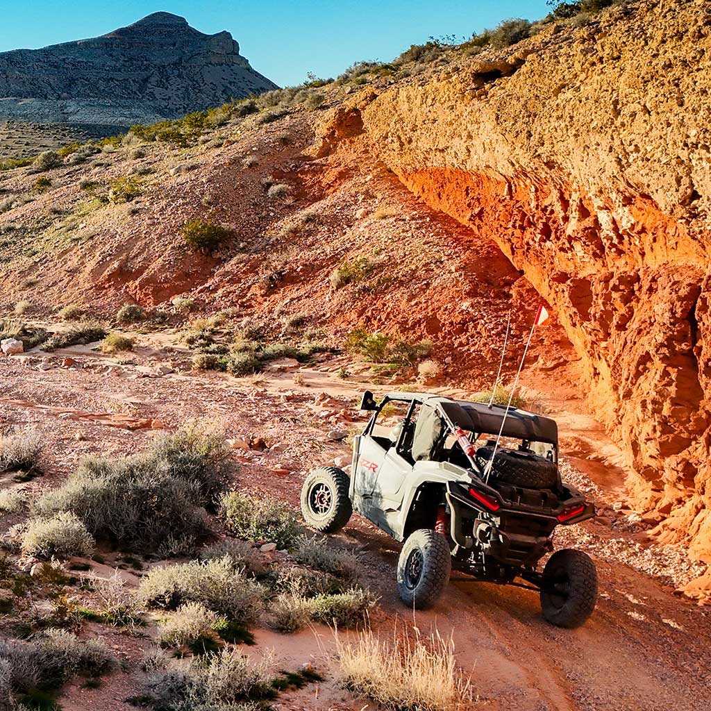 Las Vegas Mini Off-Road RZR Adventure