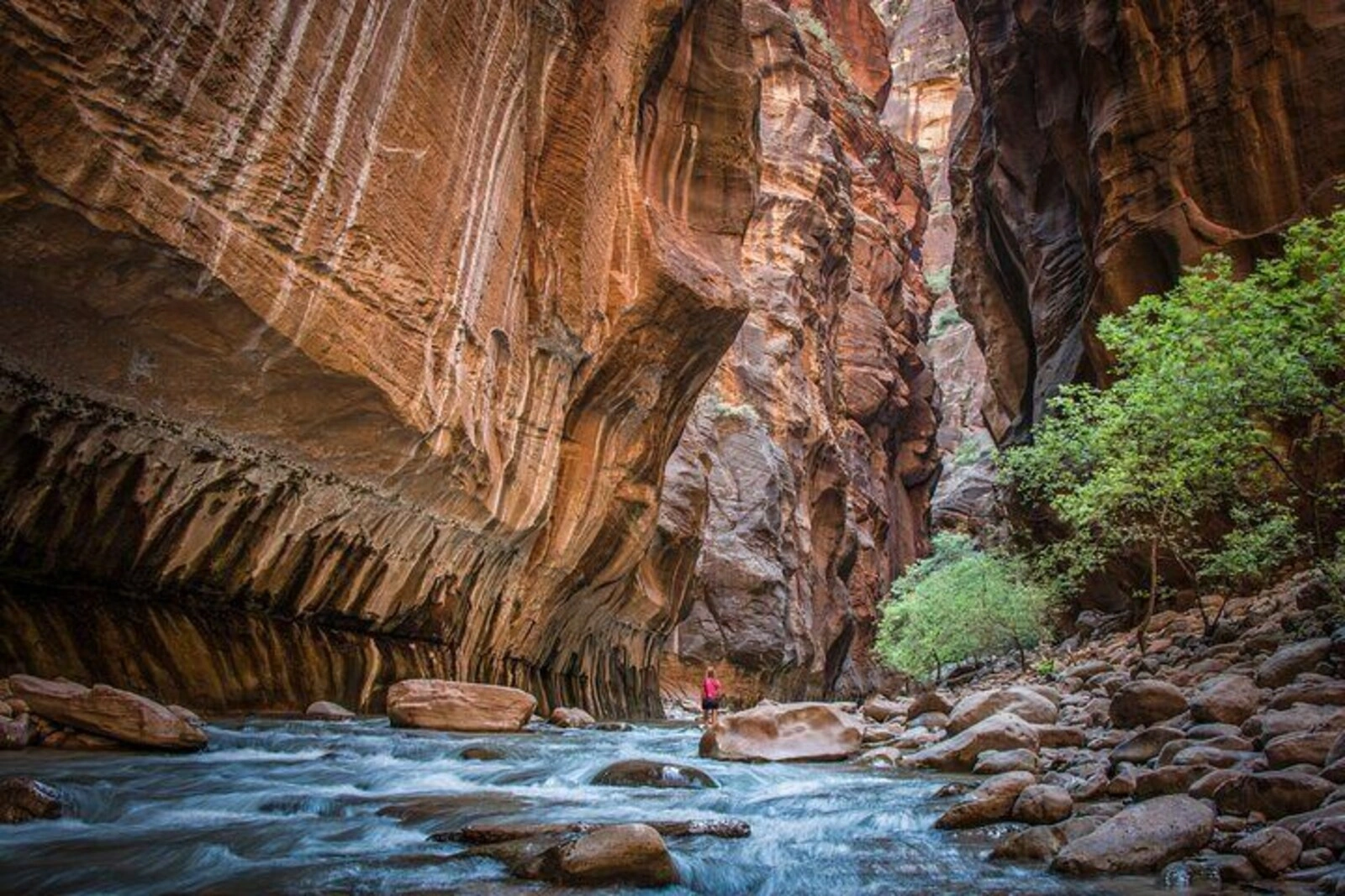 Zion National Park Tour